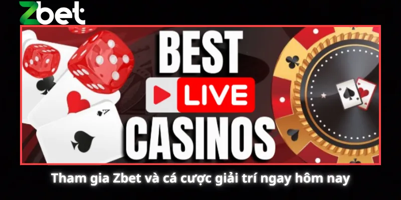 Tham gia Zbet và cá cược giải trí ngay hôm nay